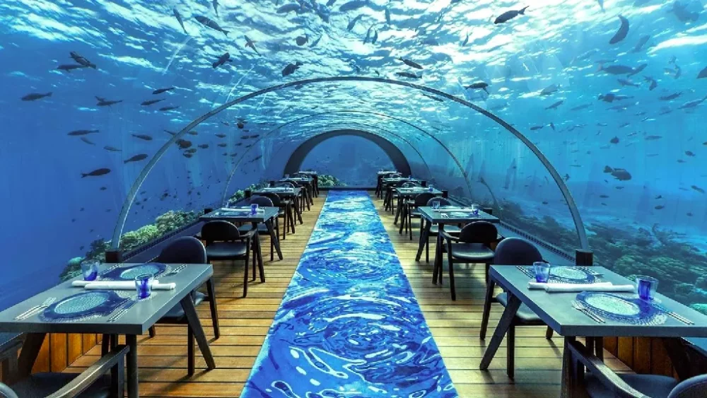 Hurawalhi Island Resort全透明的玻璃在燈光和海水的共同作用下營造出夢幻的場景,五彩斑斕的魚兒從你身邊嬉戲經過讓你彷彿置身海中