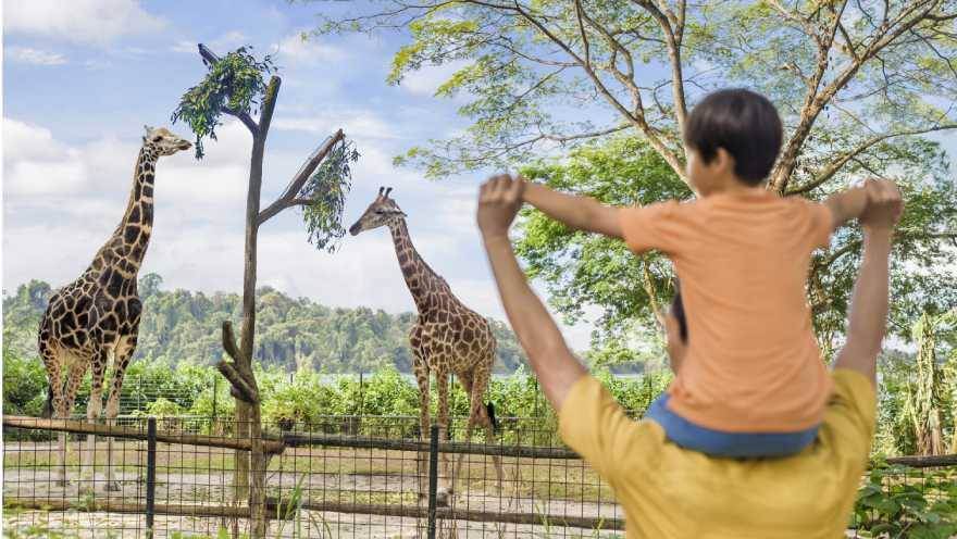 新加坡動物園