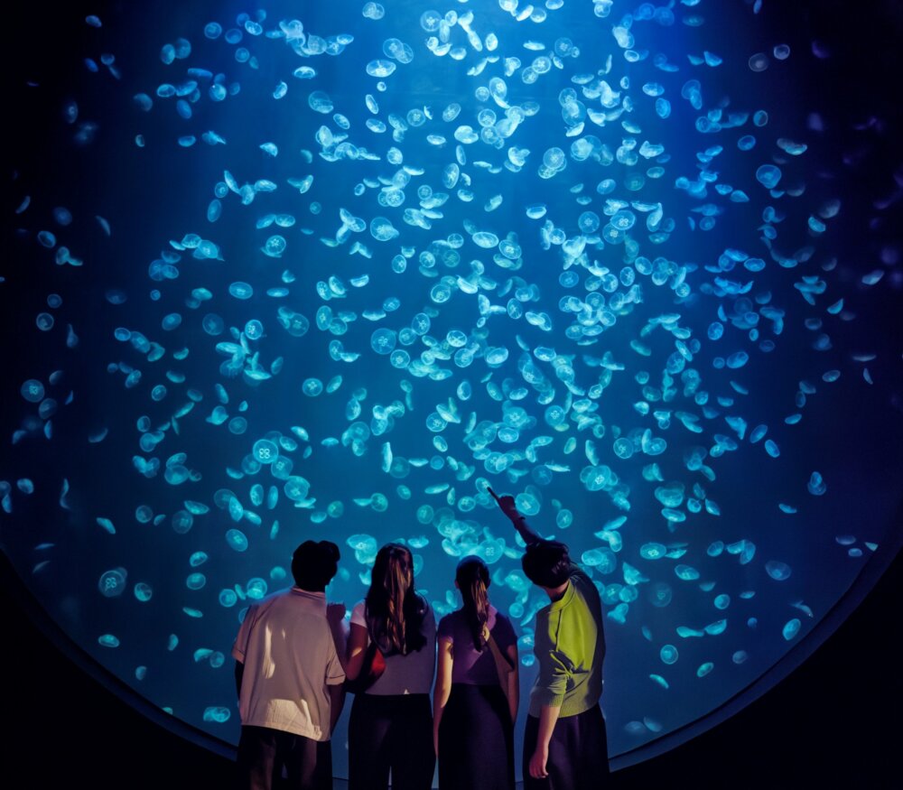 海洋館