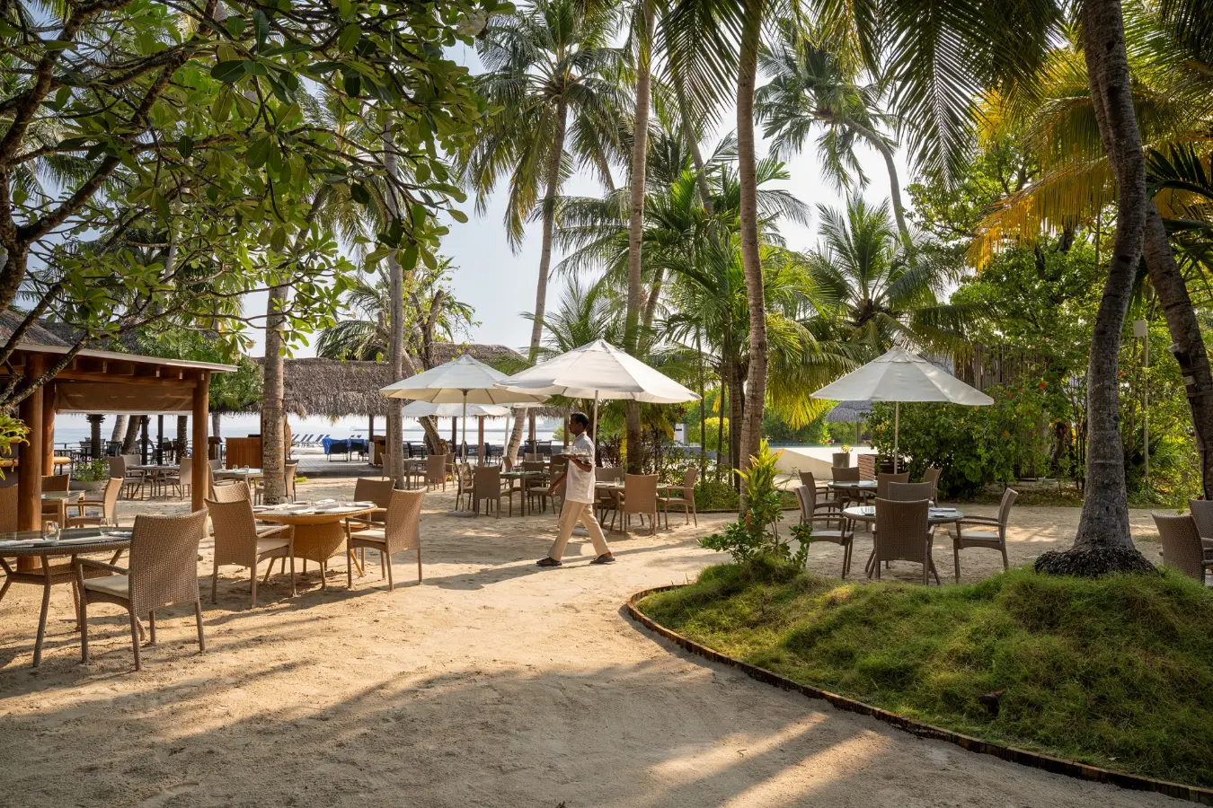 ISLAND COFFEE
