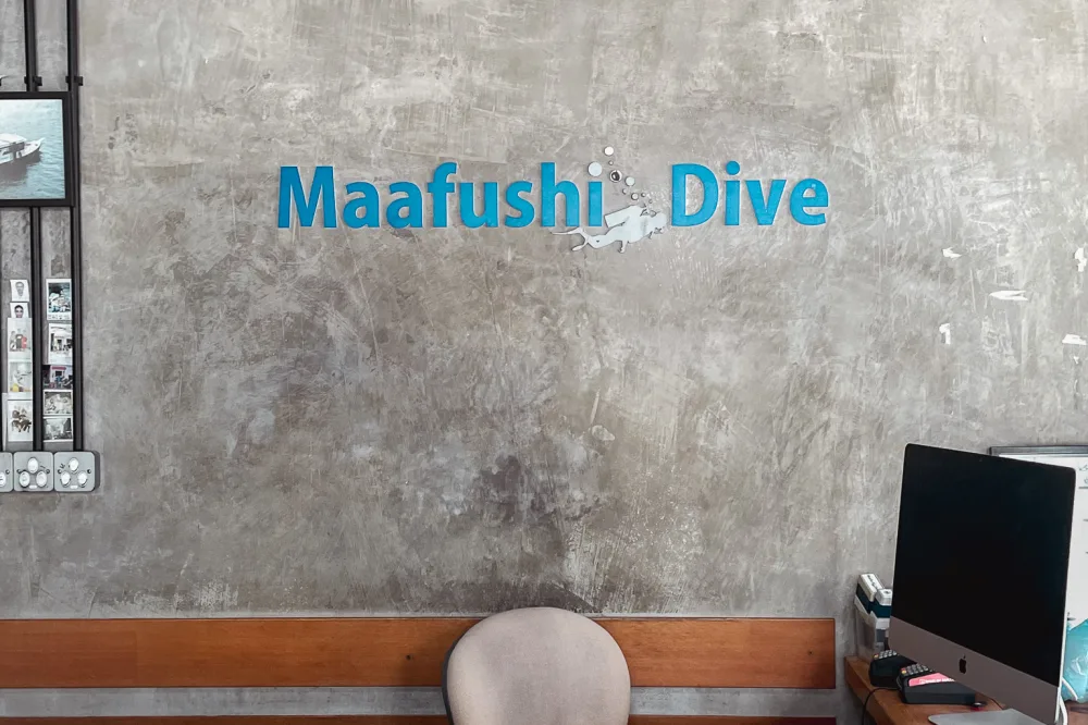 Maafushi Dive 潛水中心推薦