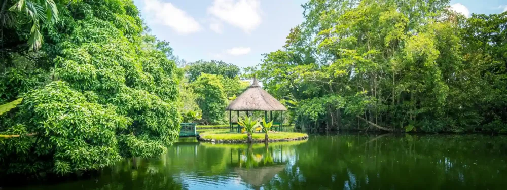 西沃薩吉爾拉姆古蘭 皇家植物園