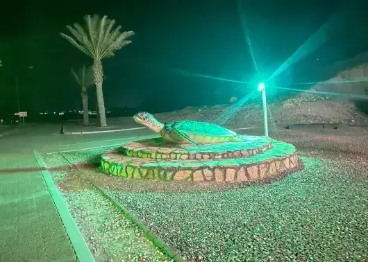 阿曼王國9日遊,參觀拉斯阿爾金茲海龜保護區